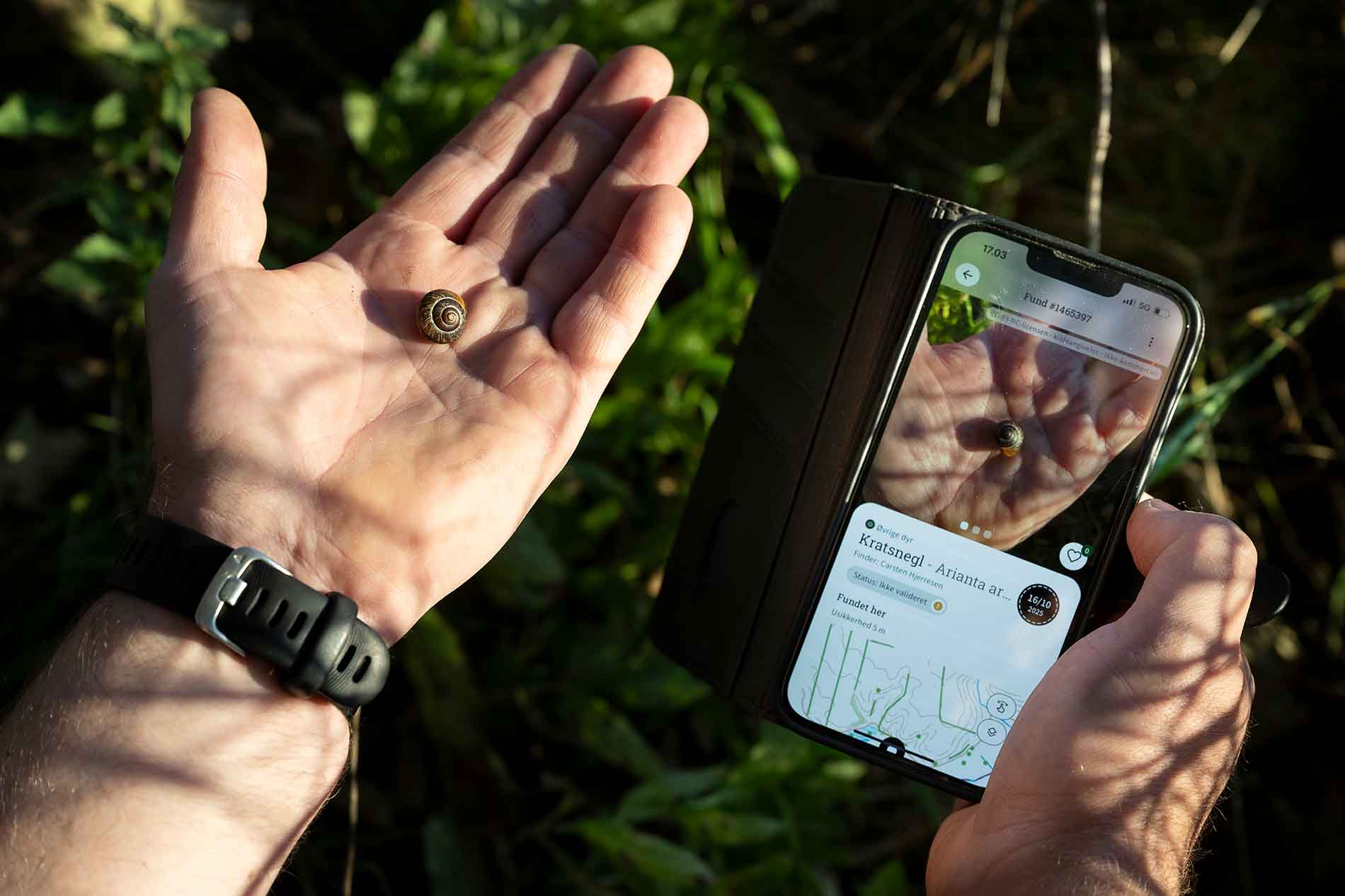 Foreningen Jordforbindelsen i Nordjylland står bag en række aktiviteter, hvor det særlige er, at deltagerne mødes i naturen 